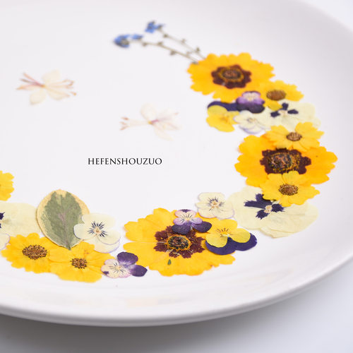 植物标本组合装幼儿园手工材料真花压花混合diy干花台灯装饰画 - 图1