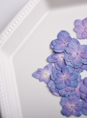 真花压花手工diy滴胶填充物