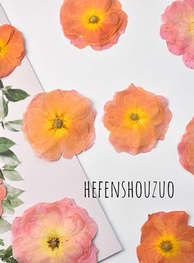河粉手作干花压花玫瑰月季真花