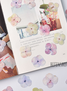 diy油画绣球真花压花手工材料
