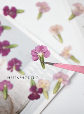 河粉手作真花压花手工材料