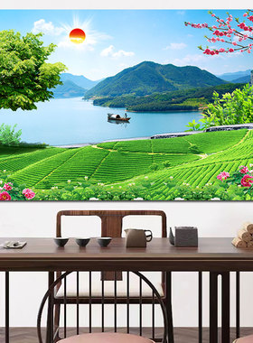是壁画欧零茶园茶山自然绿色