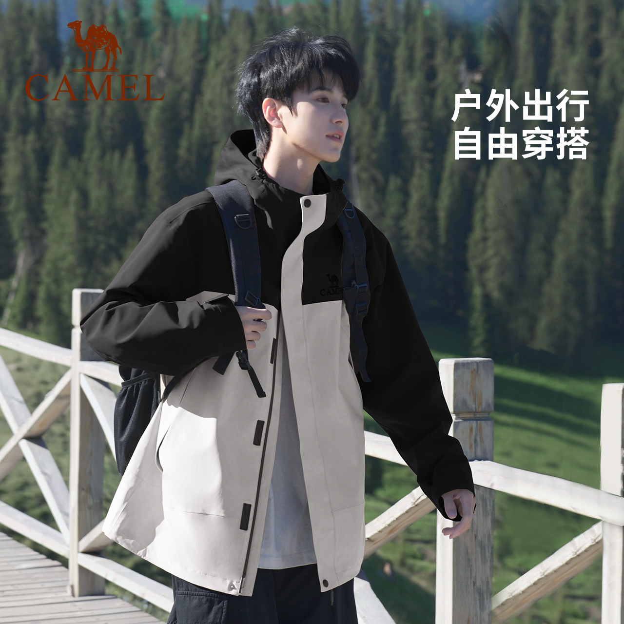 图 5