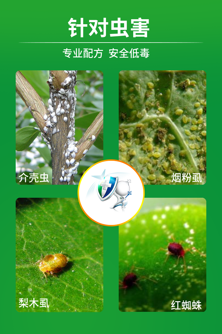 Bayer/拜耳亩旺特螺虫乙酯 22.4%烟粉虱红蜘蛛介壳虫杀虫剂-图1