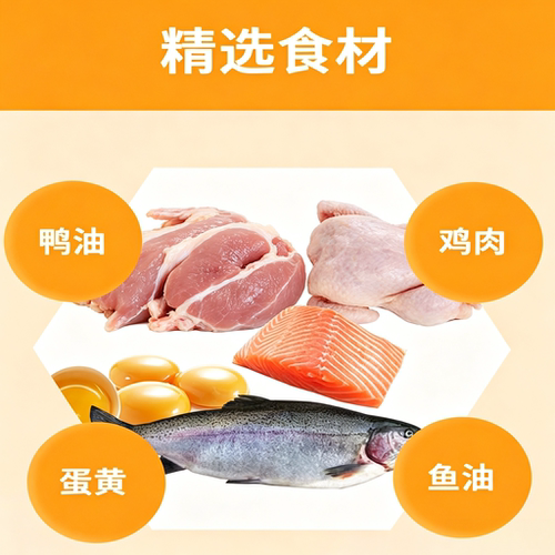 海倍健全期猫粮成猫粮食鸡肉鲜虾味10kg全猫种通用全价粮 - 图1