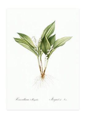 liveart法国画家花卉画芯海报