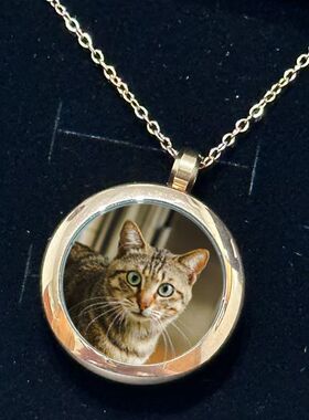 宠物头像项链猫狗毛发牙齿纪念品