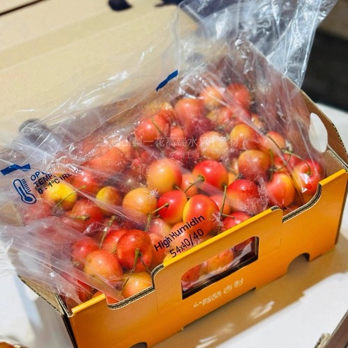 正品雷尼尔金车车厘子智利进口车厘子新鲜水果礼盒装鲜果樱桃 - 图3