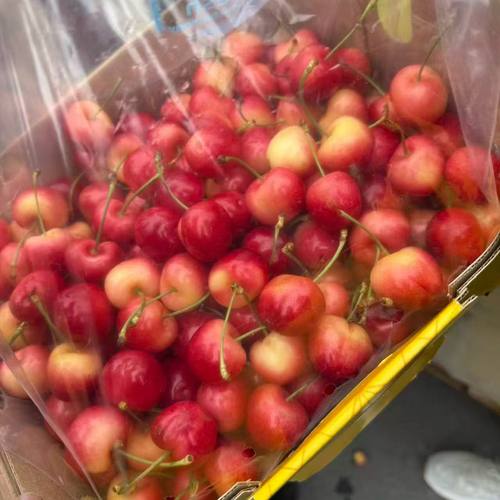 正品雷尼尔金车车厘子智利进口车厘子新鲜水果礼盒装鲜果樱桃 - 图0