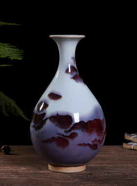 陶瓷器花瓶摆件客厅玄关