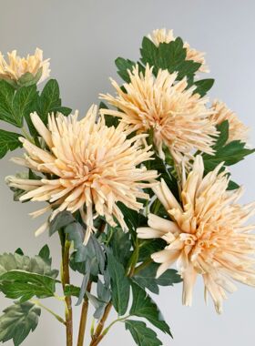 仿真蟹爪菊可爱大丽花假