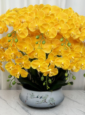 高端仿真蝴蝶兰假花手感保湿花