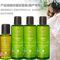 Remove the Gestational Tattooed Suit Homeborn German PRIMAVERA original Delivered Pump Mouth