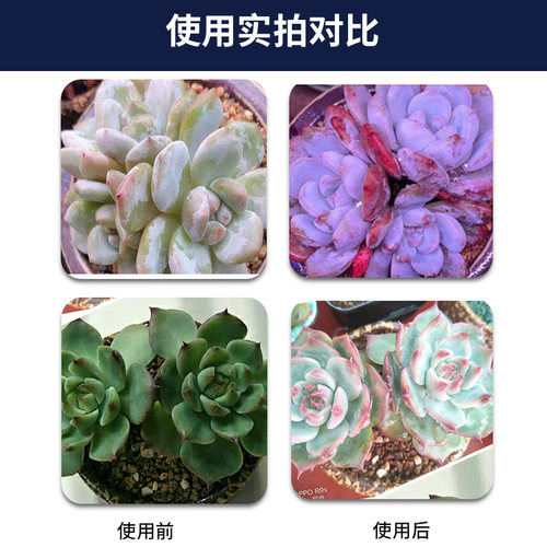 多肉补光灯家用上色全光谱LED植物生长灯室内花卉蔬菜仿太阳光 - 图2
