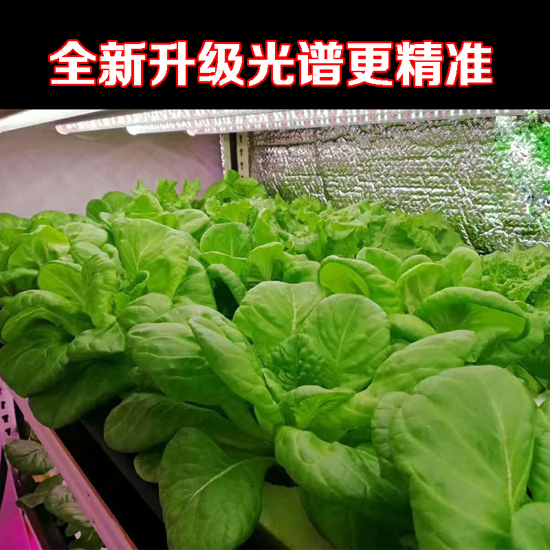 LED红蓝白植物生长灯大棚蔬菜工厂室内水培叶菜全光谱T8补光灯管-图3