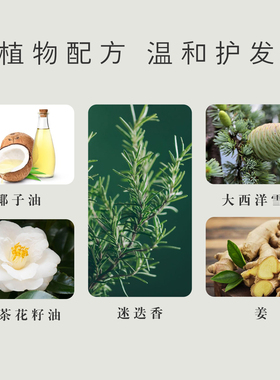 迷迭香雪松头皮护理油滋养头皮