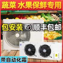 Refrigeration Depot Small Refrigerator Cold Storage Freezer Cold Storage All-in-one Refrigeration Freezer Full Preservation Unit Freshness Preservation Unit Freshness Preservation Unit Freshness Protection