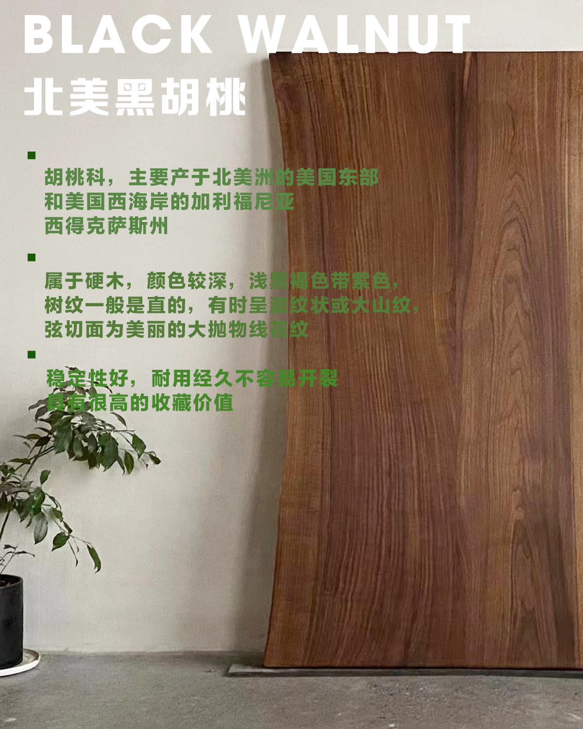 北美黑胡桃木大板实木原木南美茶桌书餐桌现代简约北欧工作中岛台