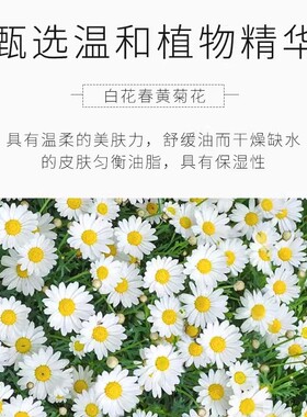 采词小甘菊护手霜滋润保湿嫩肤补水秋冬