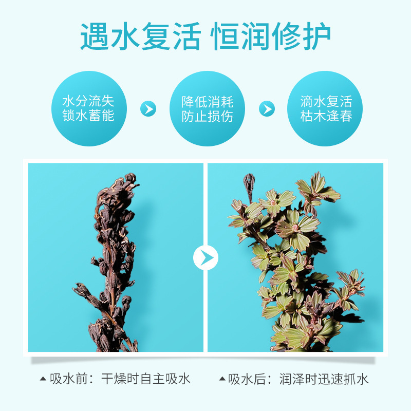 荣晟复活草虾青素面膜补水保湿舒缓敏感肌收缩毛孔平衡水油修护贴-图0