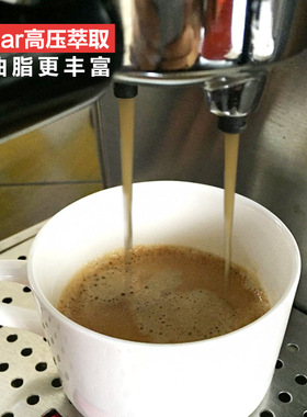 灿坤意式浓缩咖啡机不锈钢19Bar