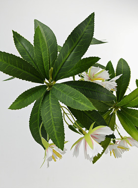 仿真绿植水石榕假花摆设