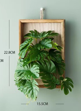 仿真绿植壁挂花眼眉叶花艺挂墙