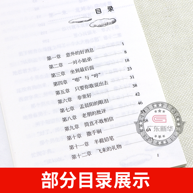 向阳花女孩 2023山西省整本书阅读打卡四年级下册课外书推荐 王巨成著 向日葵女孩 笔墨书香经典阅读 小学生课外书春风文艺出版社 - 图1