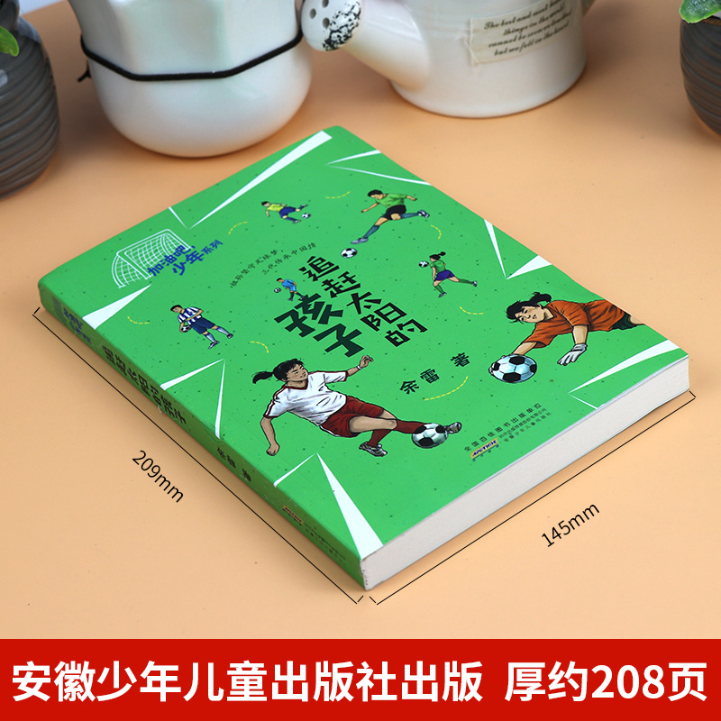 2023阅美江门整本书阅读打卡四年级课外书全4册 南村传奇追赶太阳的孩子最后的比分郑和下西洋丝绸之路的使者 笔墨书香云浮4年级 - 图2