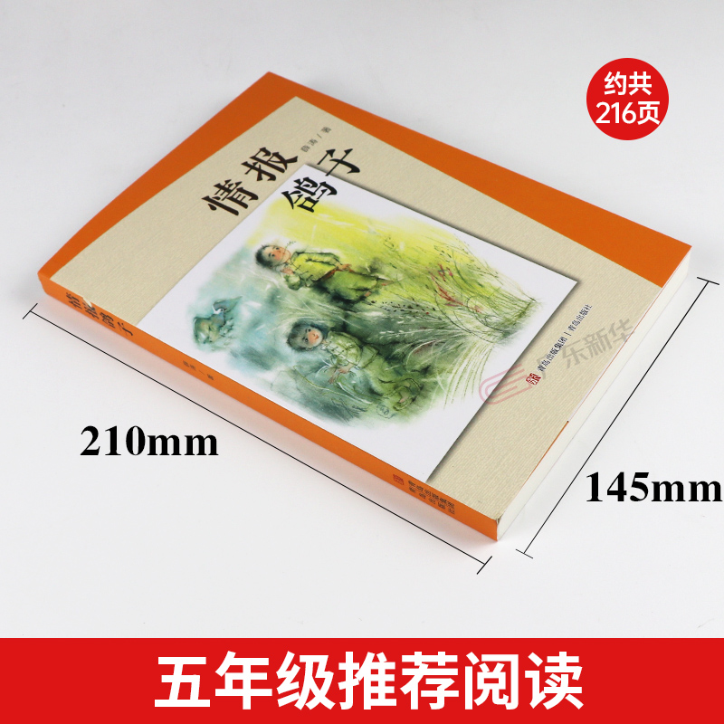 情报鸽子 2023广东朝阳读书阅美寒假五年级标准书目情报鸽子薛涛的书少年满山系列中国儿童文学读物小学生课外阅读书青岛出版社-图0