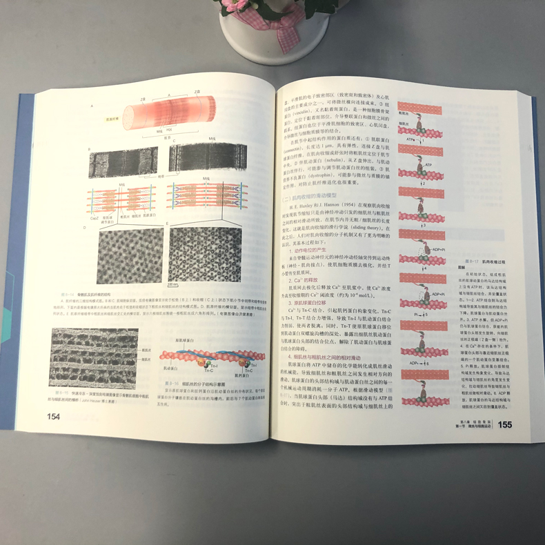 现货正版】细胞生物学第五版第5版丁明孝王喜忠全彩色印刷图文并茂原第4版升级翟中和医学考研教材高等教育出版社-图2