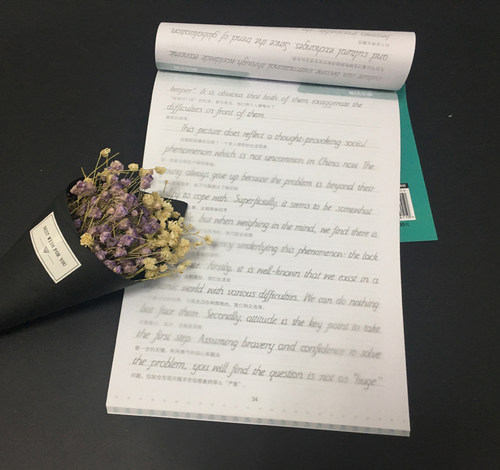 现货包邮 新东方 王江涛字帖 2027考研英语高分写作字帖 意大利斜体加强版 钢笔英文字帖27考研满分考前训练 写作真题范文硬笔字帖 - 图1