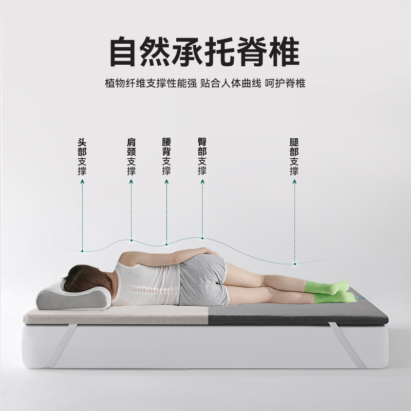 大自然【新品】软床垫加硬神器护脊专用山棕薄款偏硬床垫 脊护卫,淘宝优惠券,粉丝福利购,淘宝优惠卷