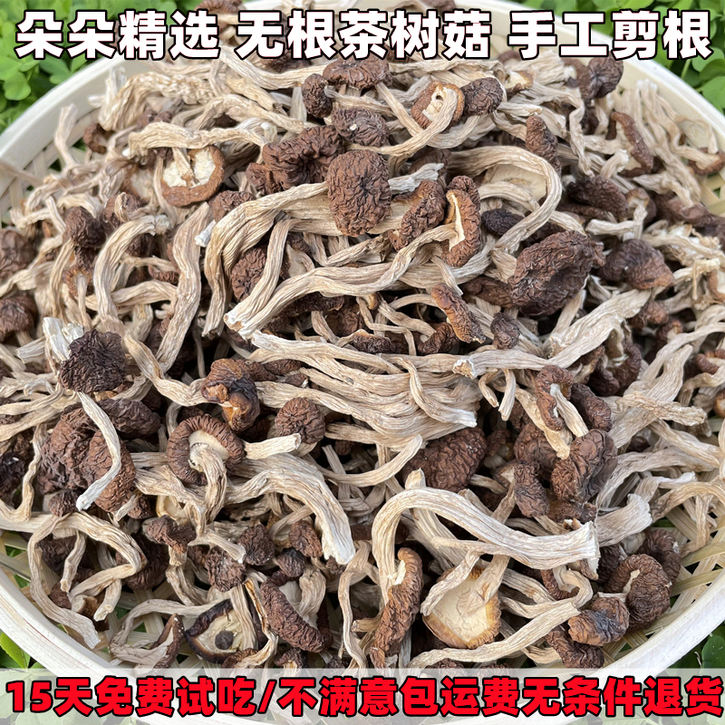 茶树菇干货特等新货不开伞修剪无根嫩茶树蘑菇香菇煲菌汤散装500g - 图0