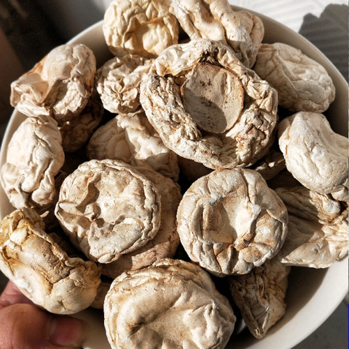张家口口蘑 坝上张北特产 食用菌农产品干货 草原白口蘑 白蘑菇 - 图0