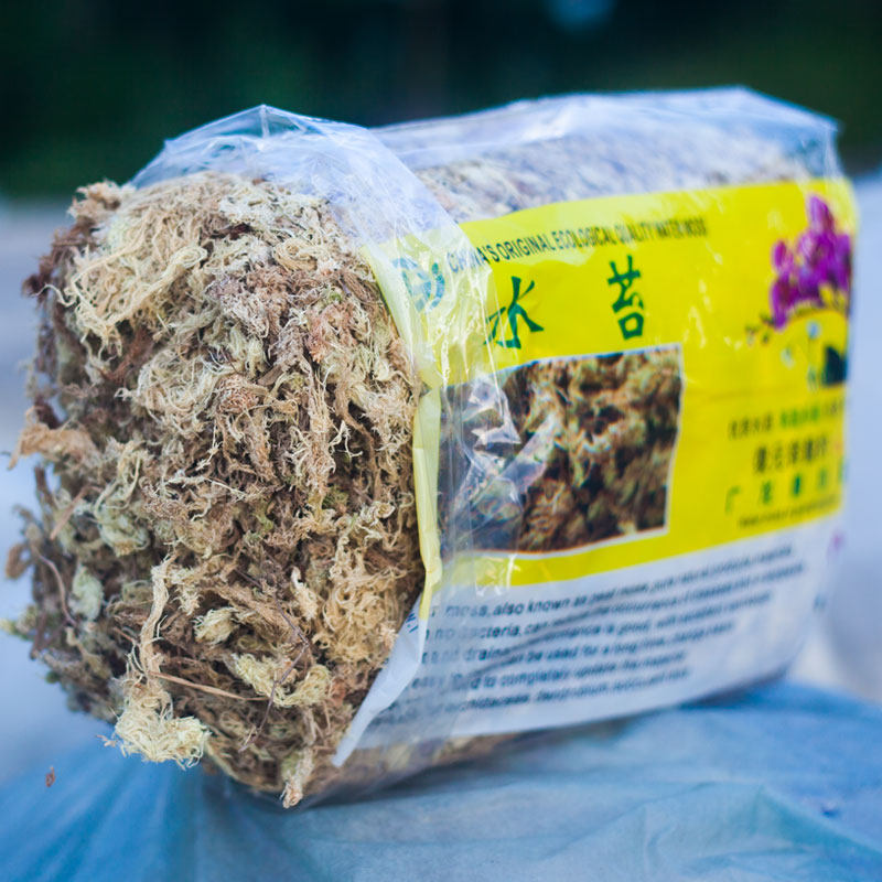 干水苔蝴蝶兰专用兰花栽培大花苗介质乌龟冬眠苔藓植物文心兰包根 集圆生物科技 淘优券