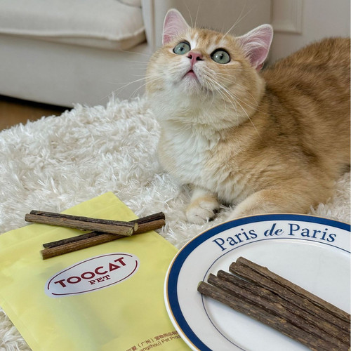 Bingo/TOOCAT精品木天蓼猫咪玩具逗猫棒啃咬洁齿磨牙棒 - 图1