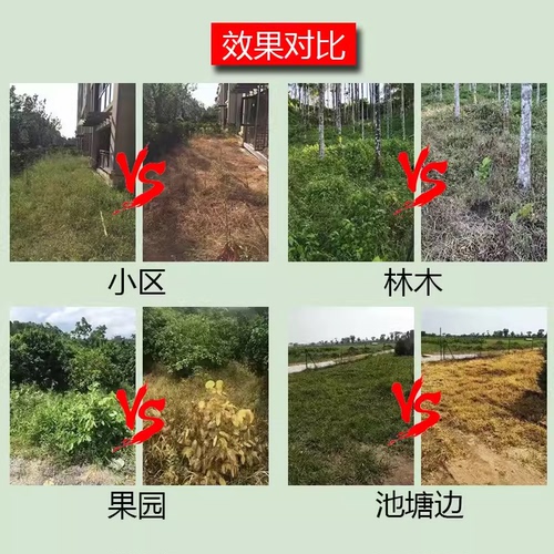 草甘磷除草烂根剂强力一扫光专用剂草甘膦异丙胺盐正品农药除草剂