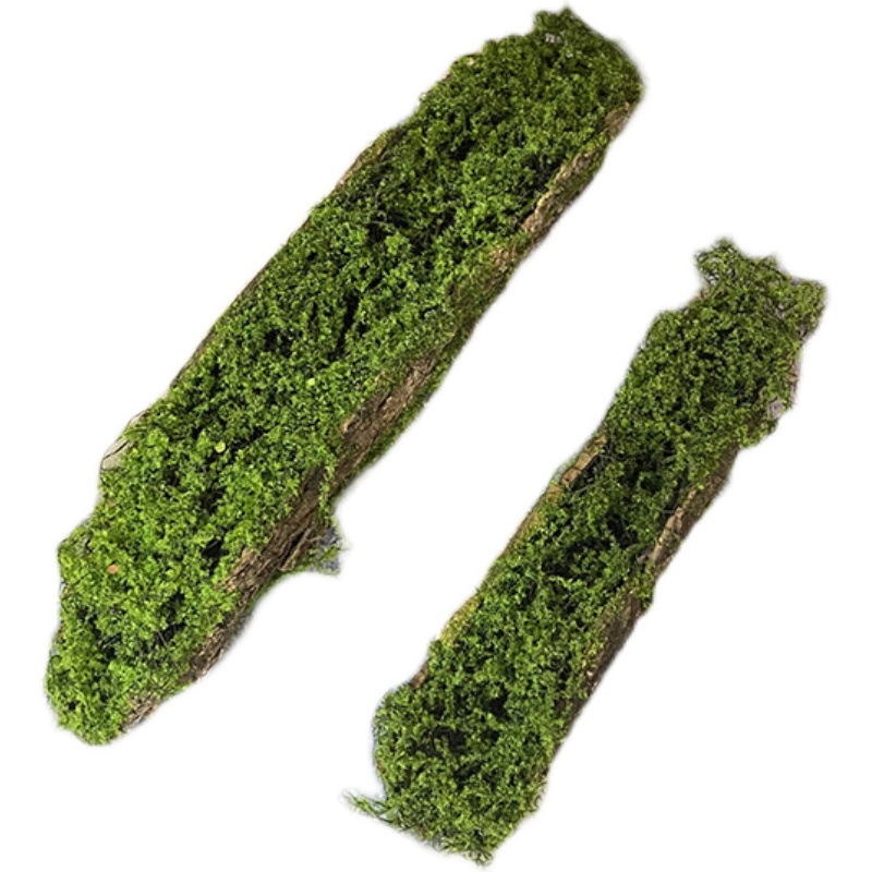 创意树皮多肉苔藓摆放仿真植物艺术花盆花园橱窗布景装饰绿植花艺 - 图3