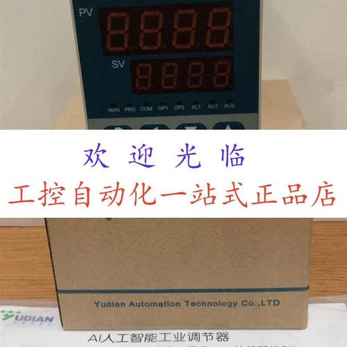 AI-7021  AL-518DL110S  AI-518D2X3L0 AI-518DL2L2S 宇电 - 图2