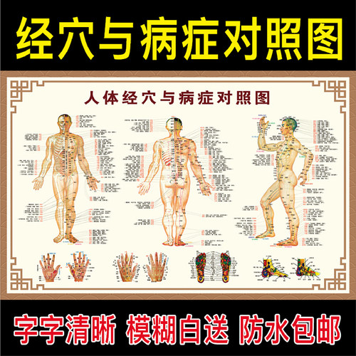 人体经络穴位图标准大图中医养生理疗馆人体病症穴位图解挂图高清 - 图0