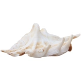 Бесплатная доставка Hainan Sanya Conch Shell Seven -Corner Snail 15 см дома украшение