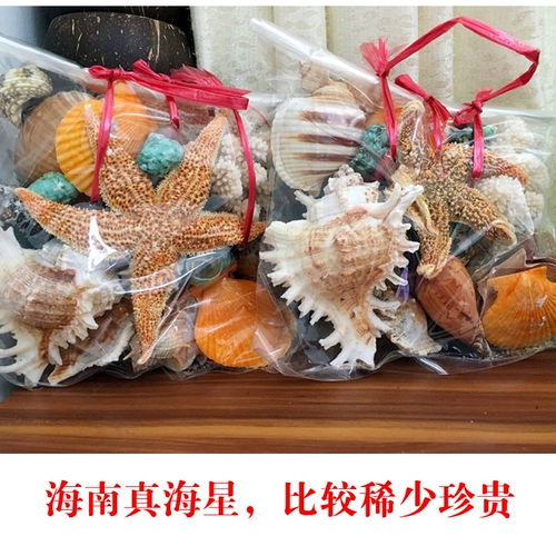Бесплатная доставка Hainan High -End Natural Conch, Sea Star Shell Set 600G Около 25 подарков по туризму.