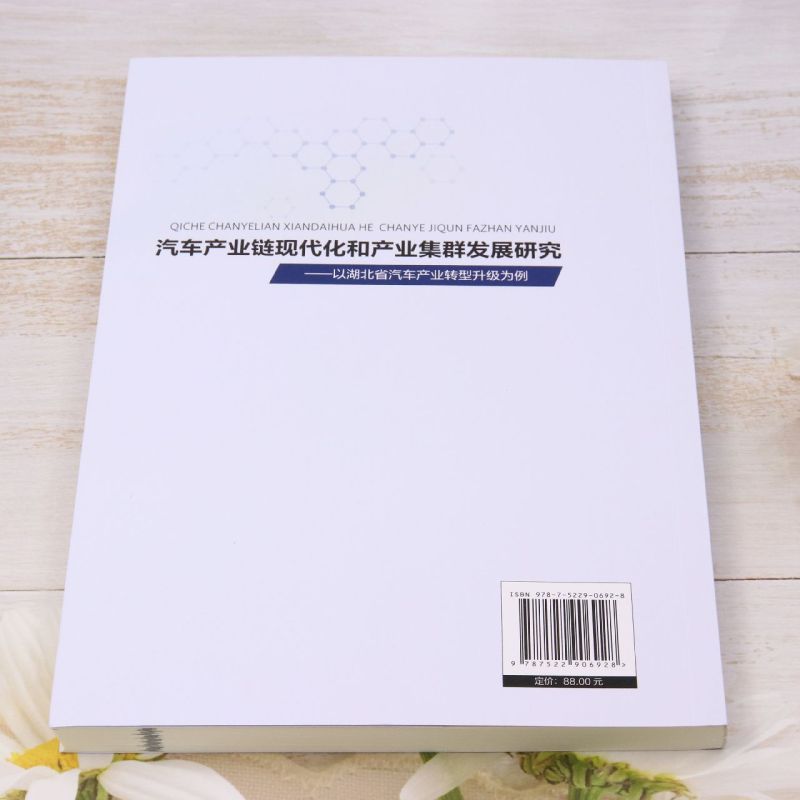 汽车产业链现代化和产业集群发展研究:以湖北省汽车产业转型升级为例