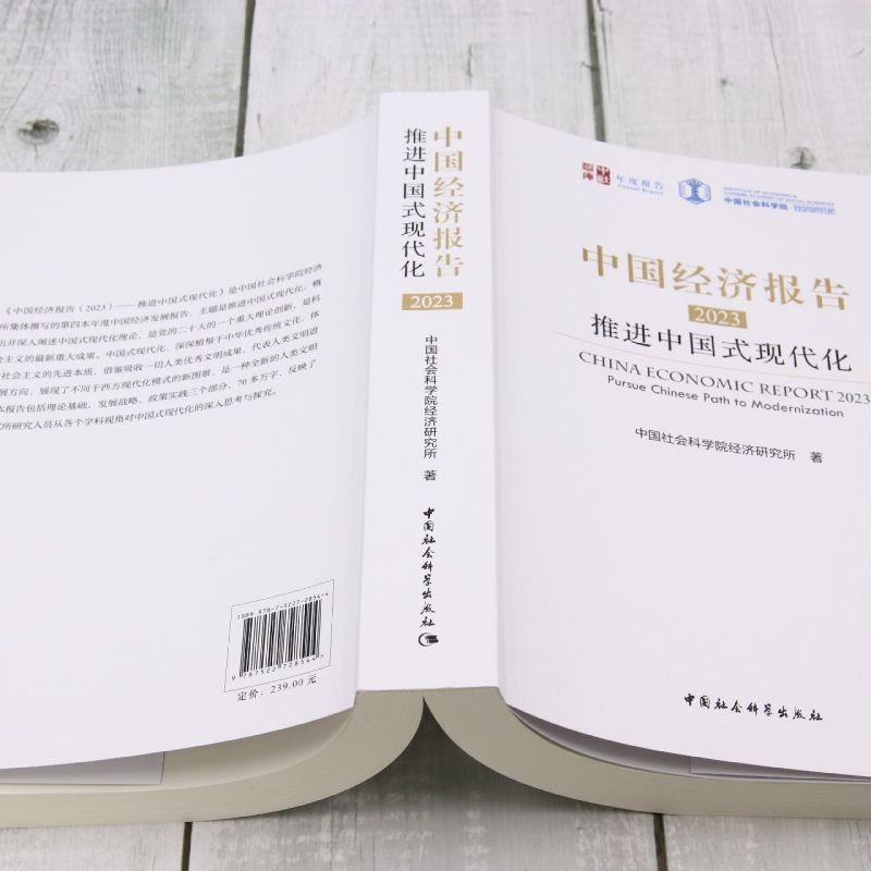 中国经济报告 2023 推进中国式现代化 中国社会科学院经济研究所 著 经济理论经管、励志 新华书店正版图书籍 中国社会科学出版社 - 图2