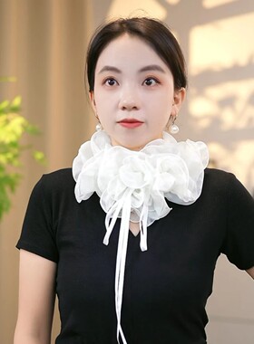 2026新款韩版网纱蝴蝶结假领