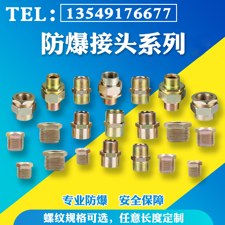 防爆变径接头 碳素钢防爆补心 转换接头定制定做 6分变4分 补芯 - 图2