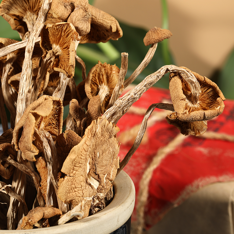 肴之缘茶树菇150g*1袋新货干货无硫农家日晒不开伞煲炖汤食材料 - 图0