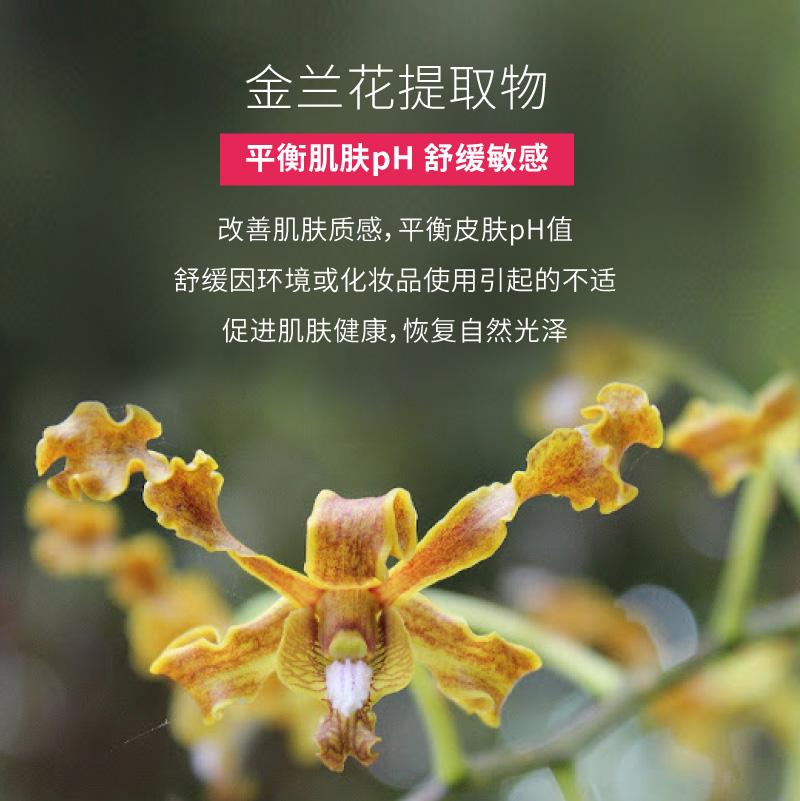 annemarieborlind安娜柏林补水保湿紧致柔肌强韧精华凝露150ml