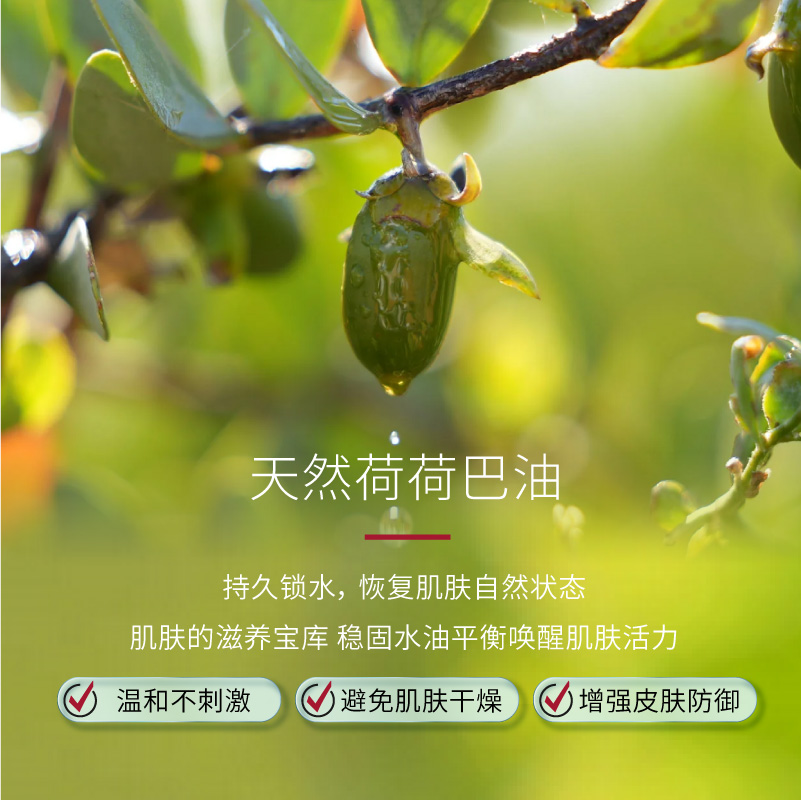 annemarieborlind安娜柏林紧致抗皱淡化细纹平滑日轻盈日面霜50ml